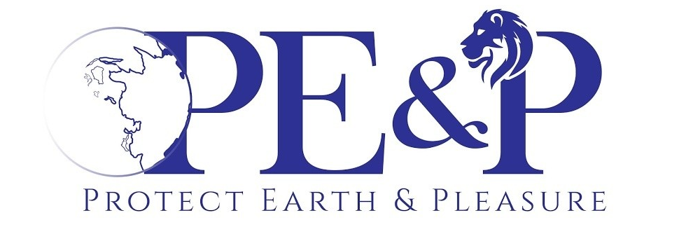 株式会社PE&P | PE&P Co., Ltd.